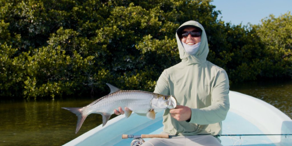 Tarpon