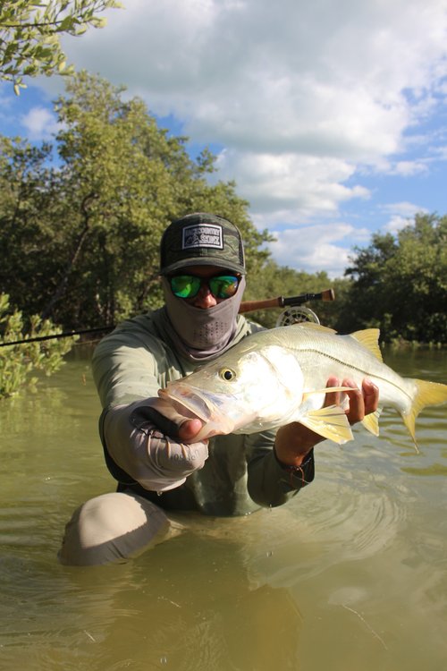 Permit & Flats