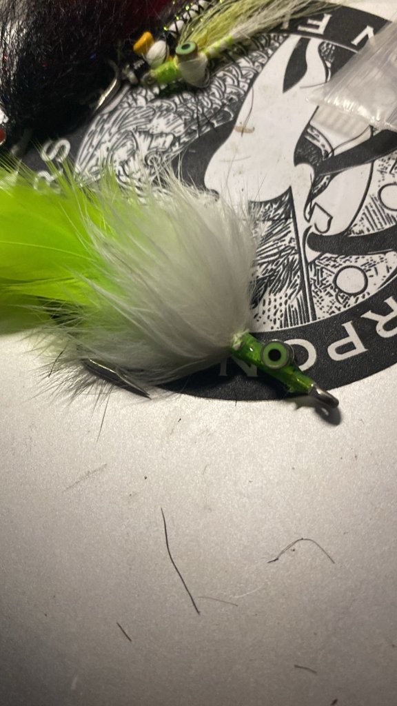 April Insight — The Migratory Tarpon Rush Begins