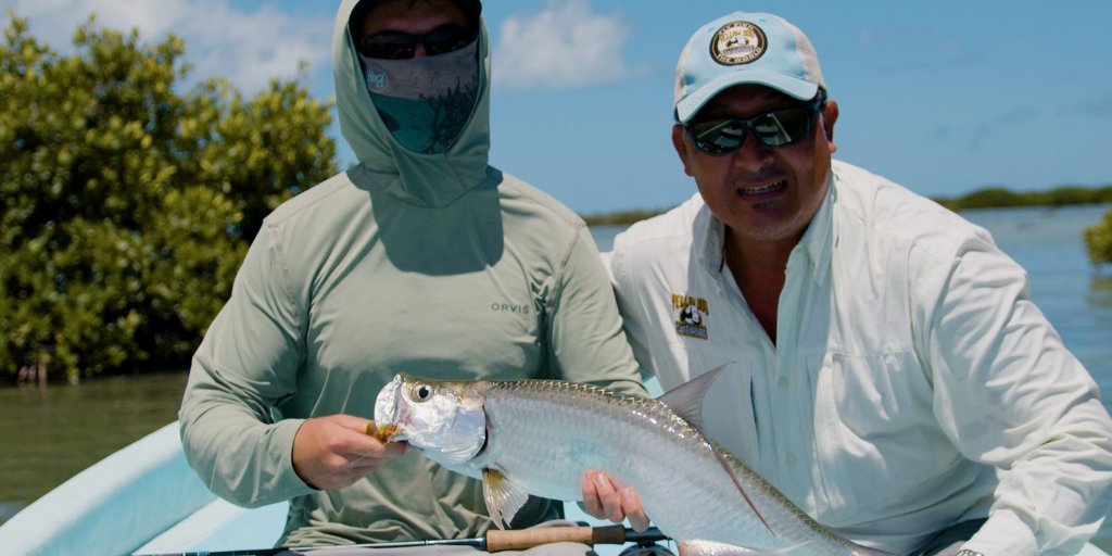 Tarpon