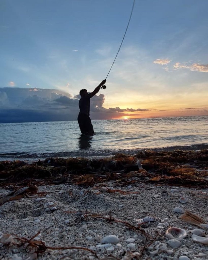 Tarpon
