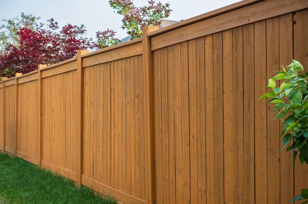 Fencing Elwood