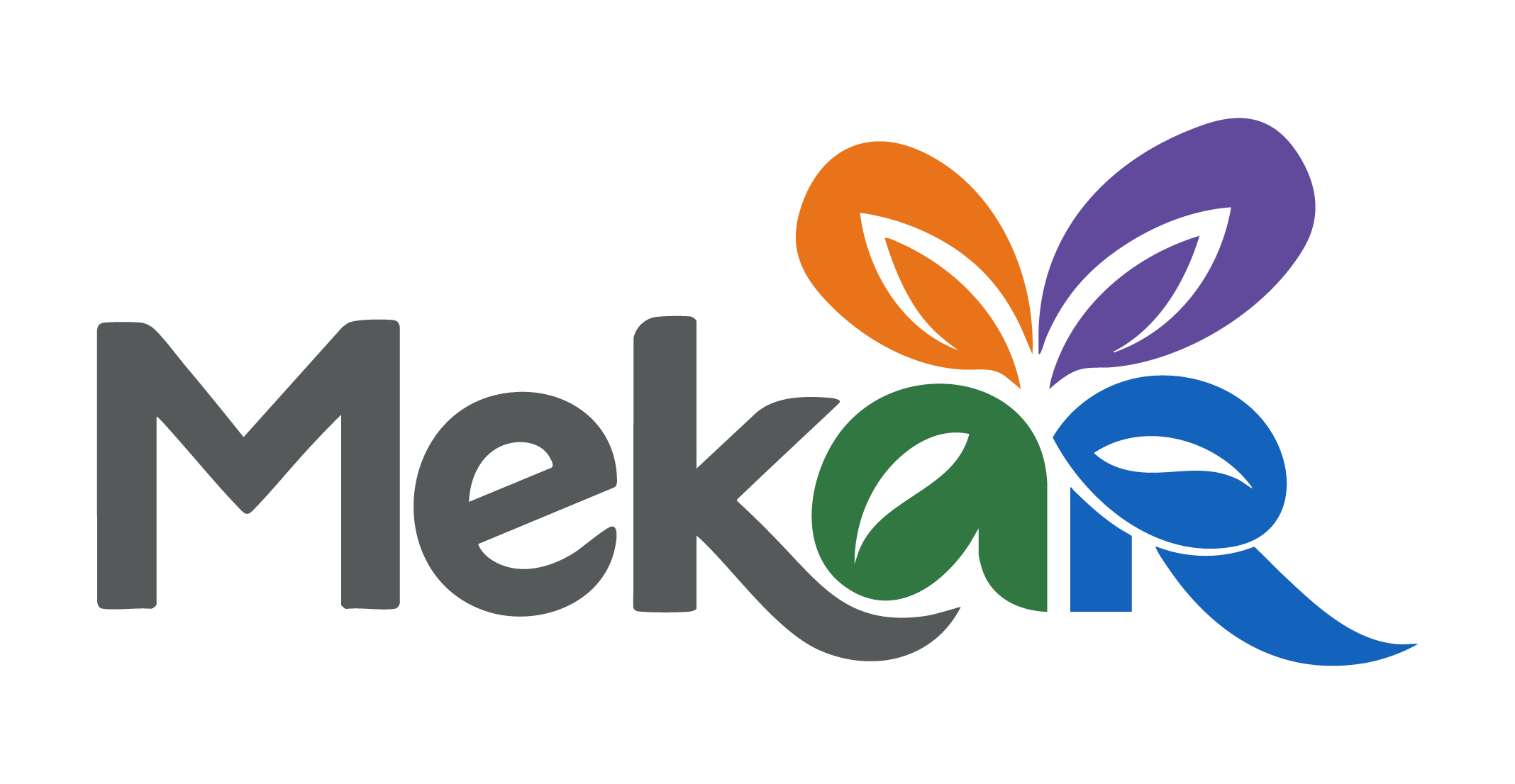 MEKAR Mentoring