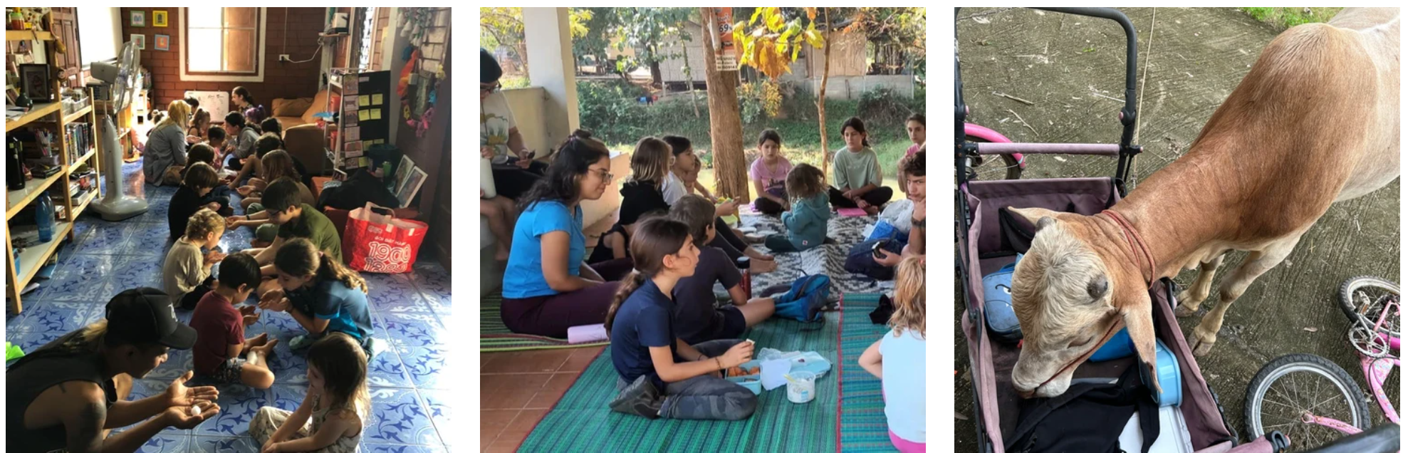 Children in a circle on the blue-tiled floor, gathered under a shaded porch, and a curious cow visiting the yard