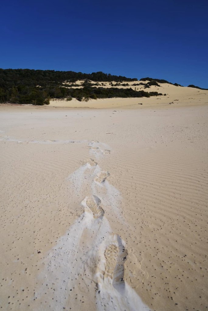 Expedition image 4