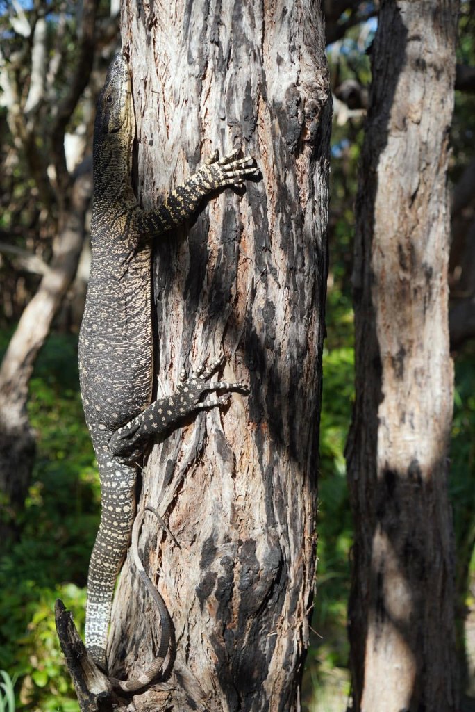 Expedition image 9