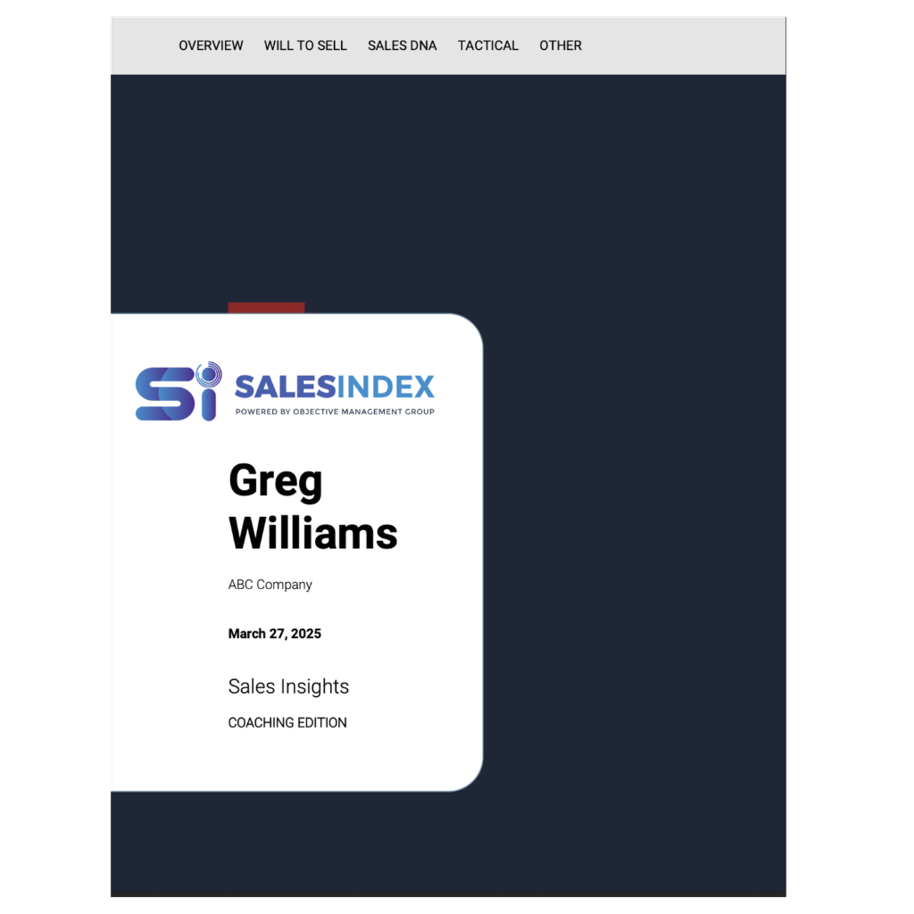 SalesIndex Assessment Report