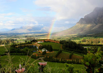 Lourensford — Clay Pigeon MTB