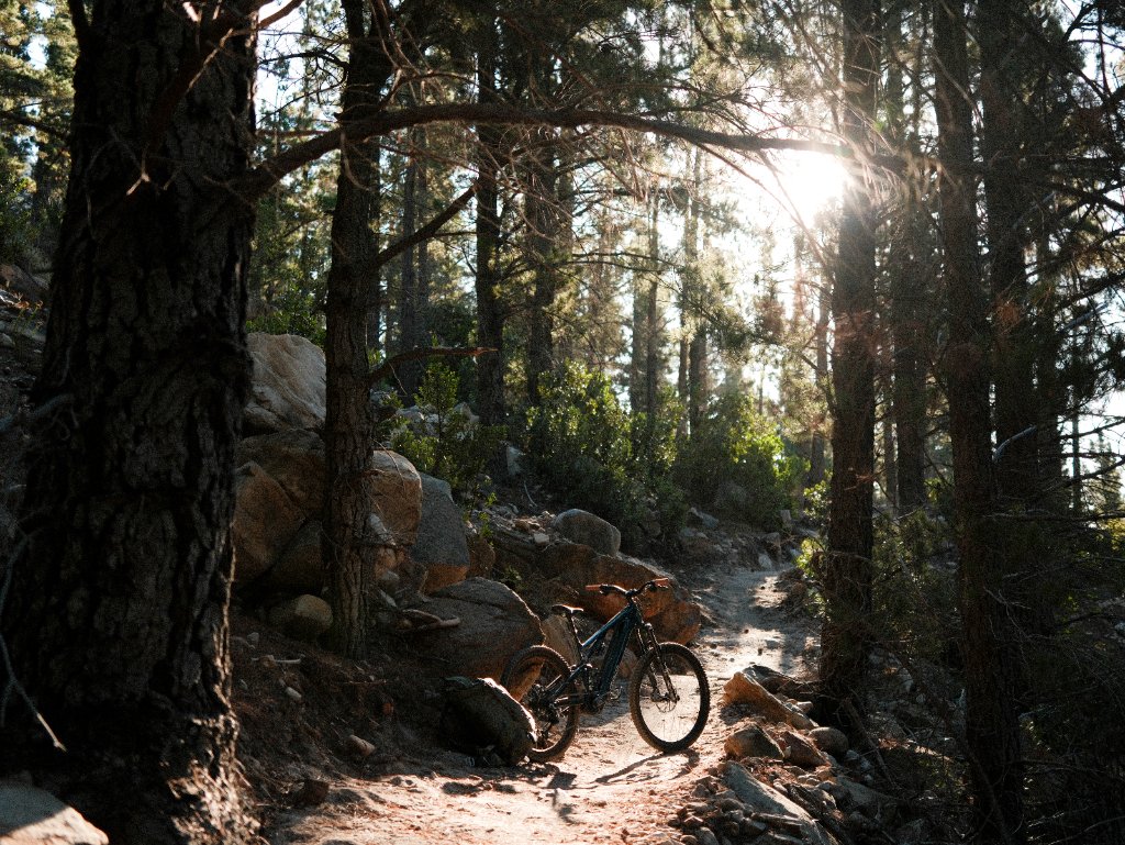Cycling & MTB