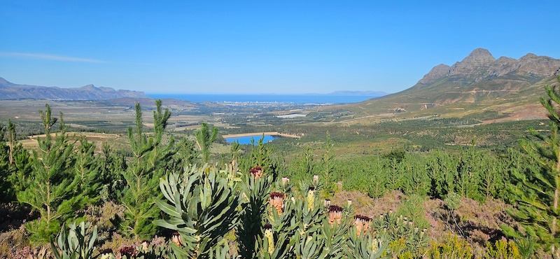 Lourensford Estate — MTB Trails