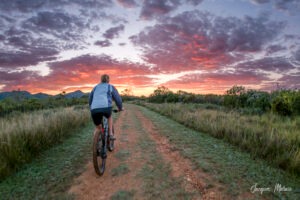 Exploring Stellenbosch by Bike