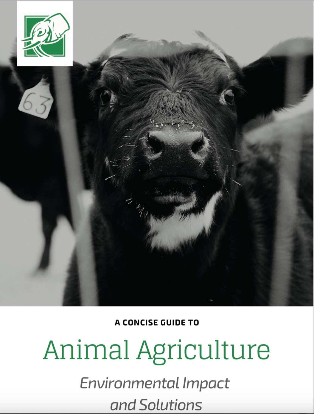 Animal Agriculture