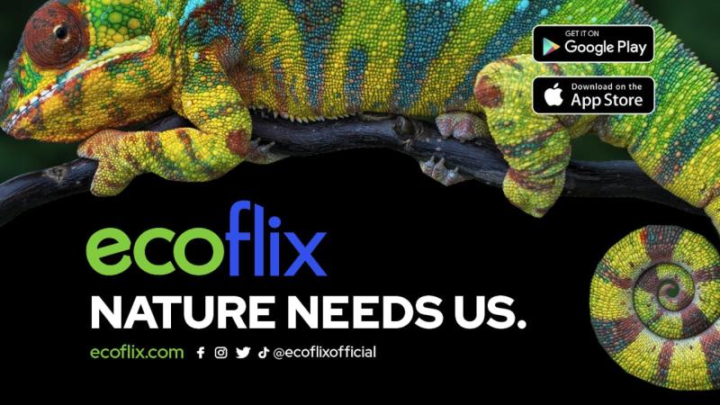 EcoFlix
