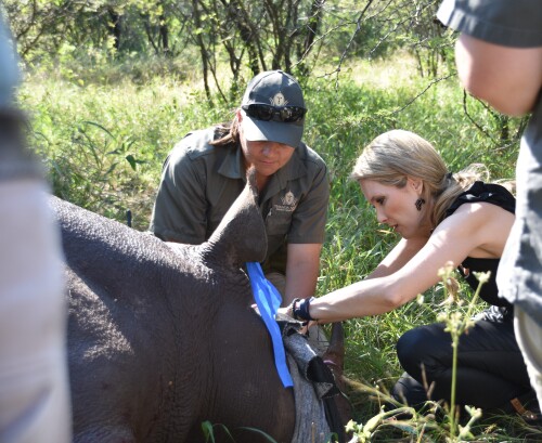 TEO field work — conservation in action