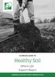 Healthy Soil: Where Life Support Begins