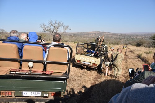Safari photo 9