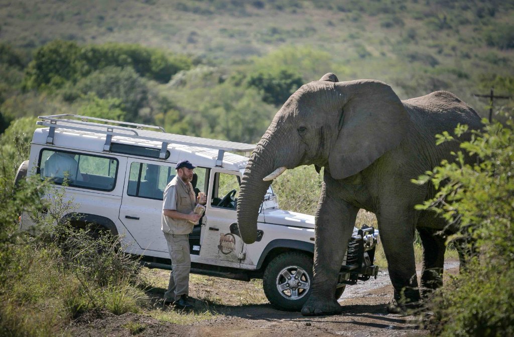 Lawrence Anthony with elephant