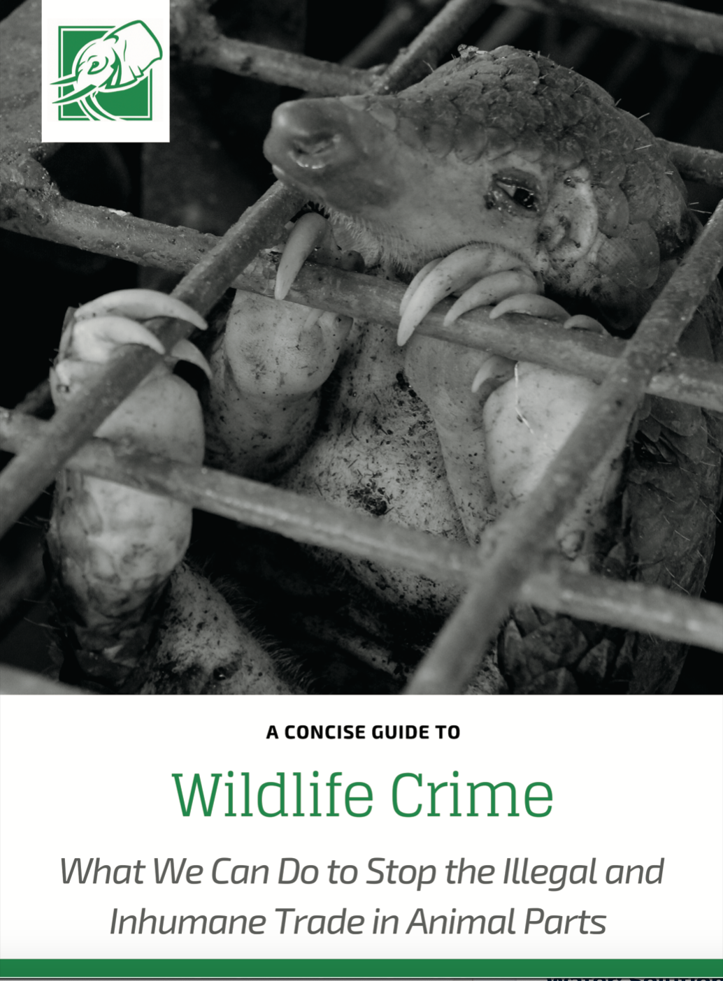 Wildlife Crime