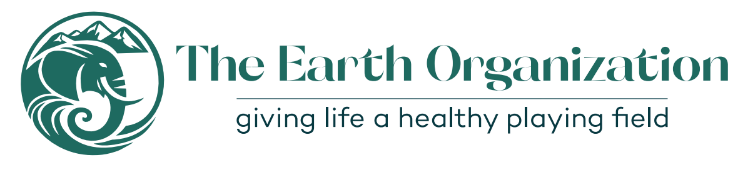 The Earth Organization