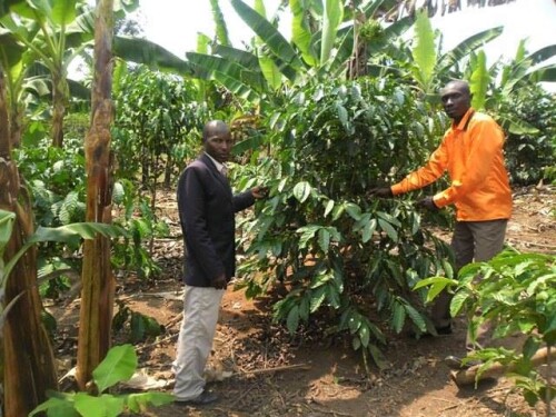 From Deforested Land to a Thriving Community
