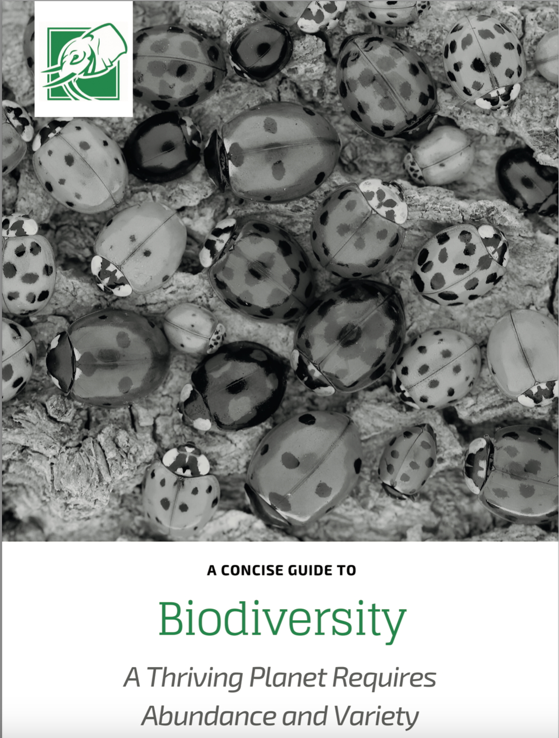 Biodiversity