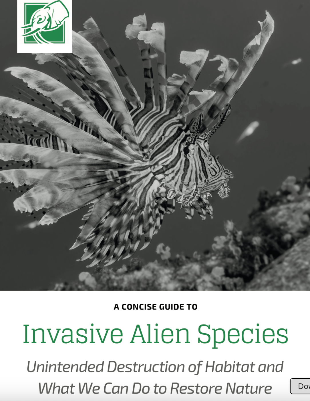 Invasive Alien Species