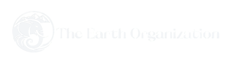 The Earth Organization