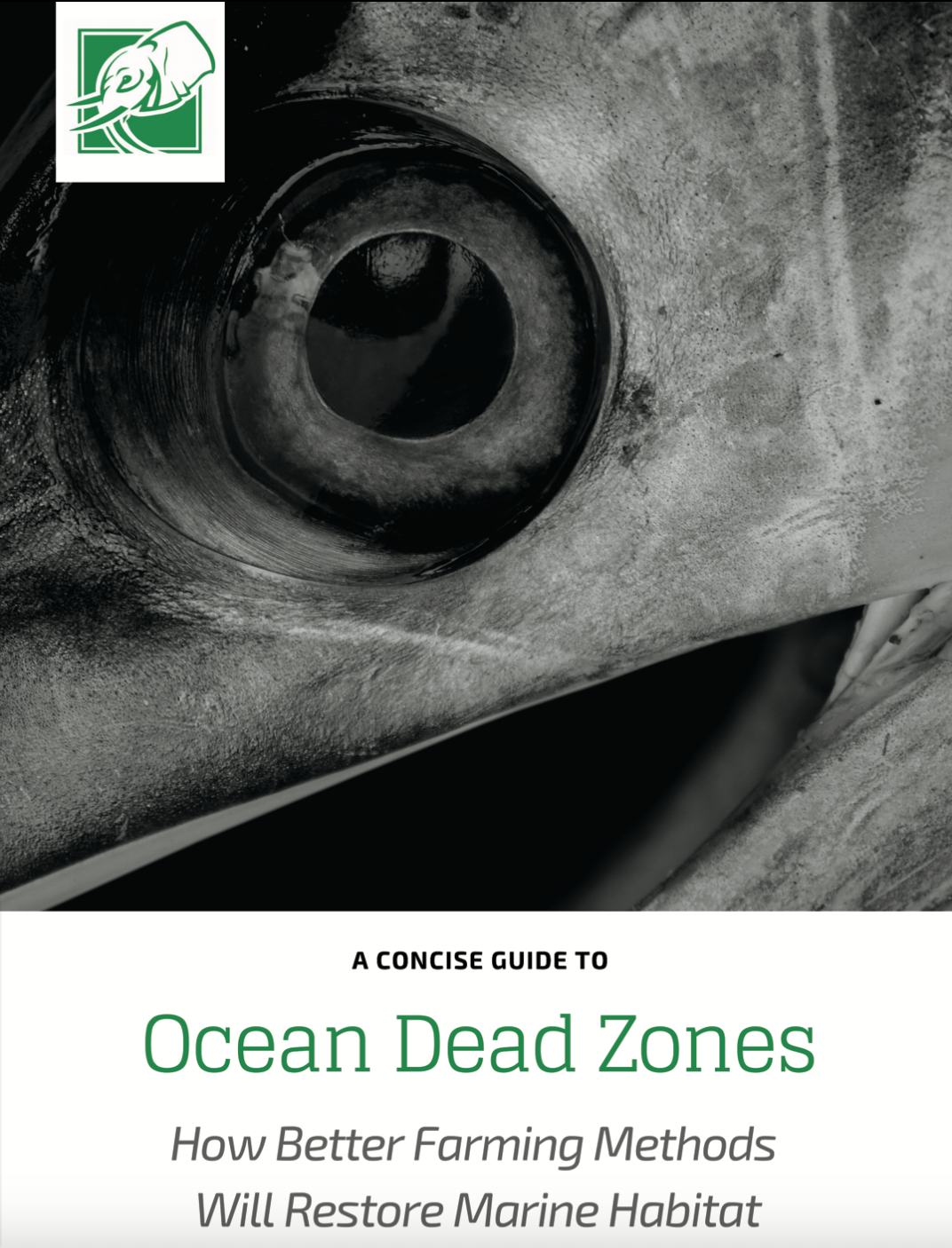 Ocean Dead Zones
