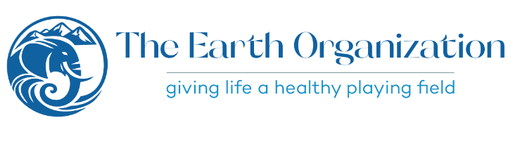 The Earth Organization