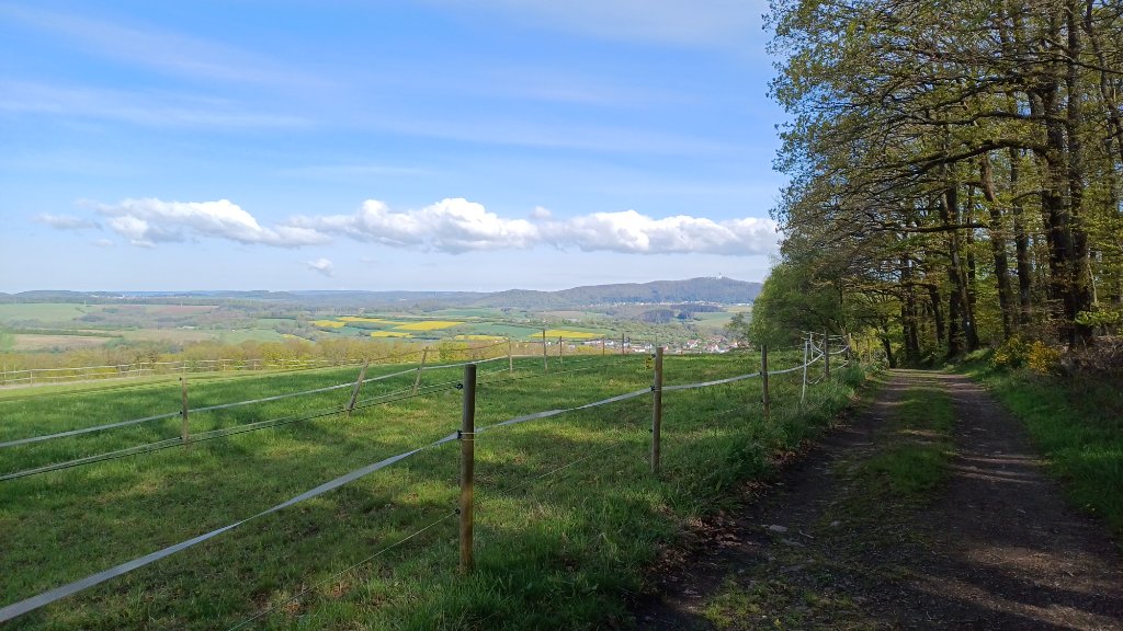 Saarländische Landschaft im Frühling
