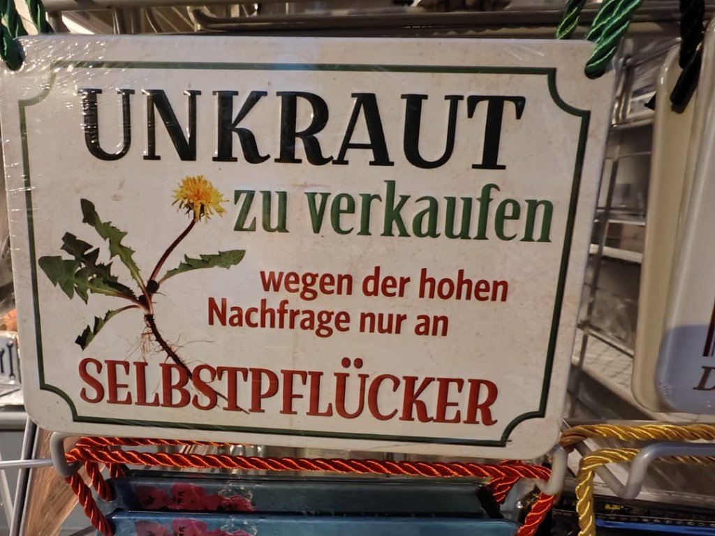 Hilfe, mein Acker verwildert!