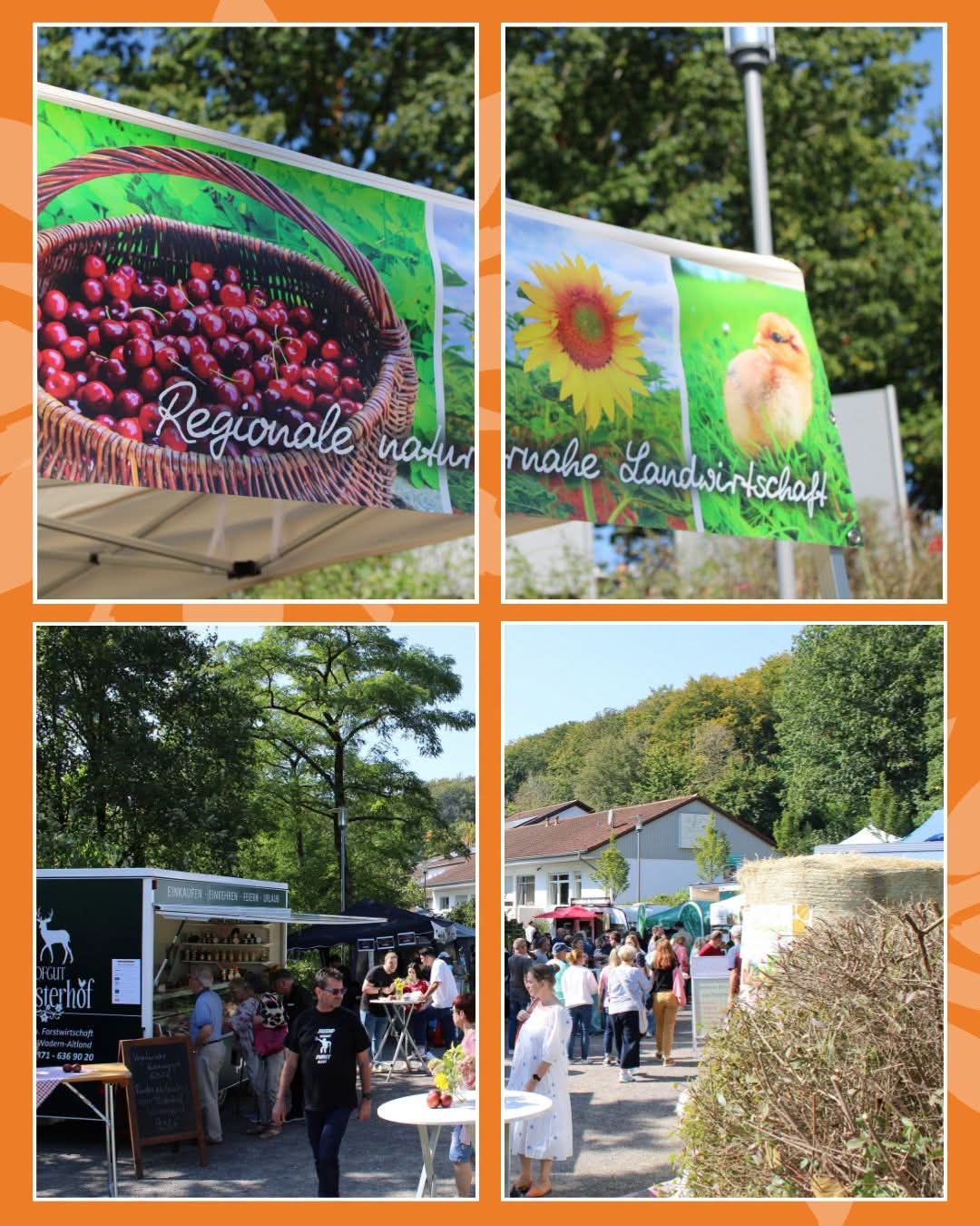 Collage mit Eindrücken vom Herbstmarkt Finkenrech und regionalen Produkten
