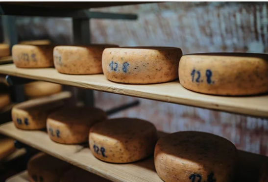 Käsereiferaum auf dem Neukahlenberger Hof mit reifenden Käse-Laiben