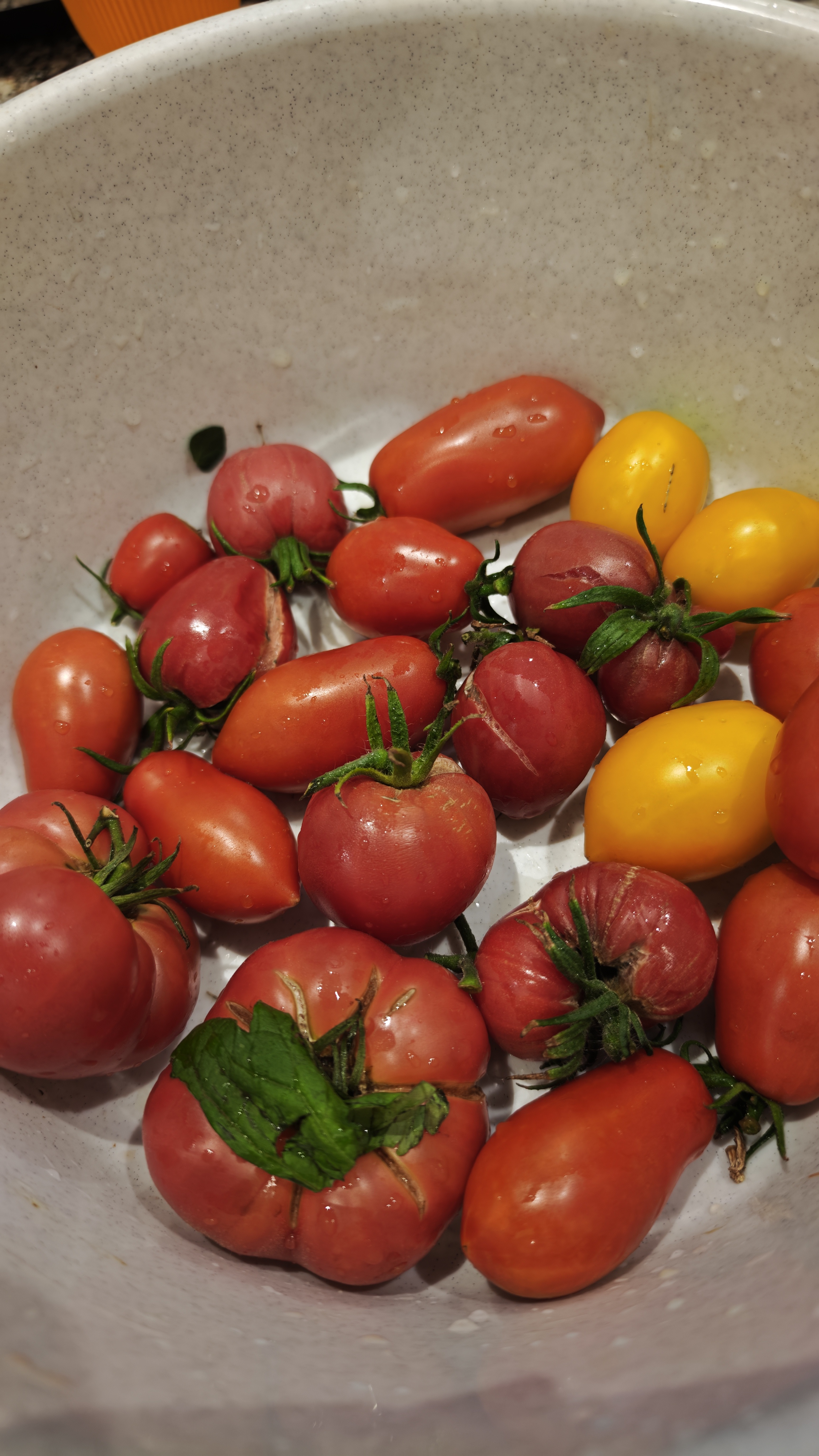 Bunte Tomatensorten in einer Schüssel
