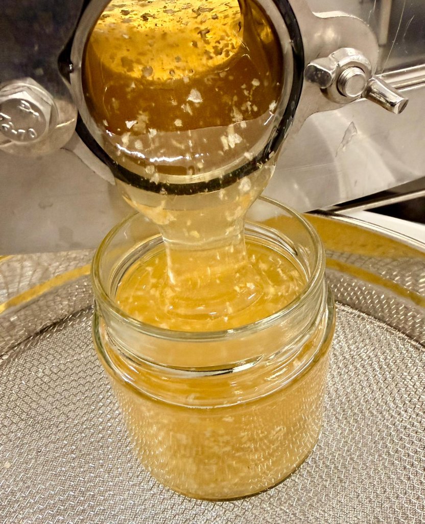 Rohhonig wird frisch geschleudert