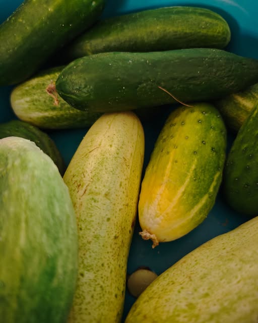 Warum ist Gemüse aus meinem Garten anders? 🥒