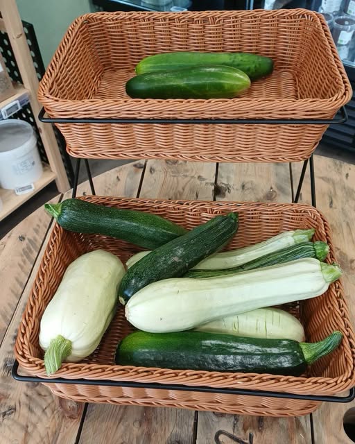 Endlich geht's los, mein Gemüse ist da! 🥒