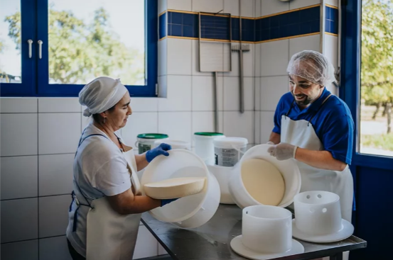 Käserei auf dem Neukahlenberger Hof – handwerkliche Käseherstellung