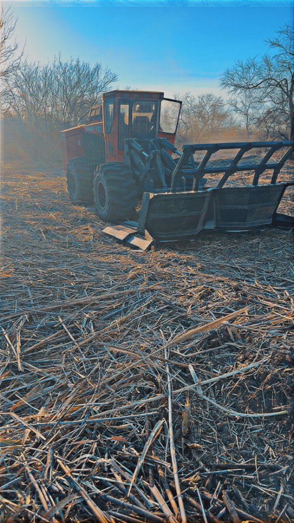 Land Clearing