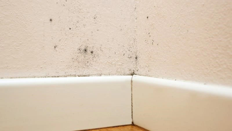 Wiederkehrender Schimmel in einer kalten Raumecke einer Wohnung