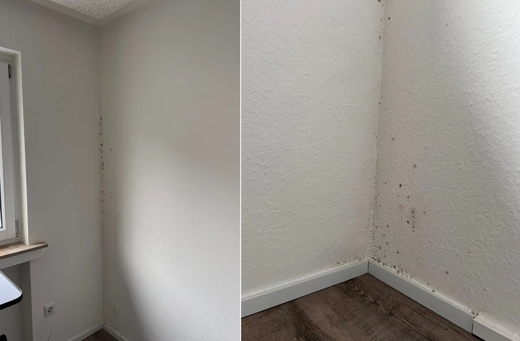 Schimmel in der Raumecke an der Außenwand – Vorher-Nahaufnahme