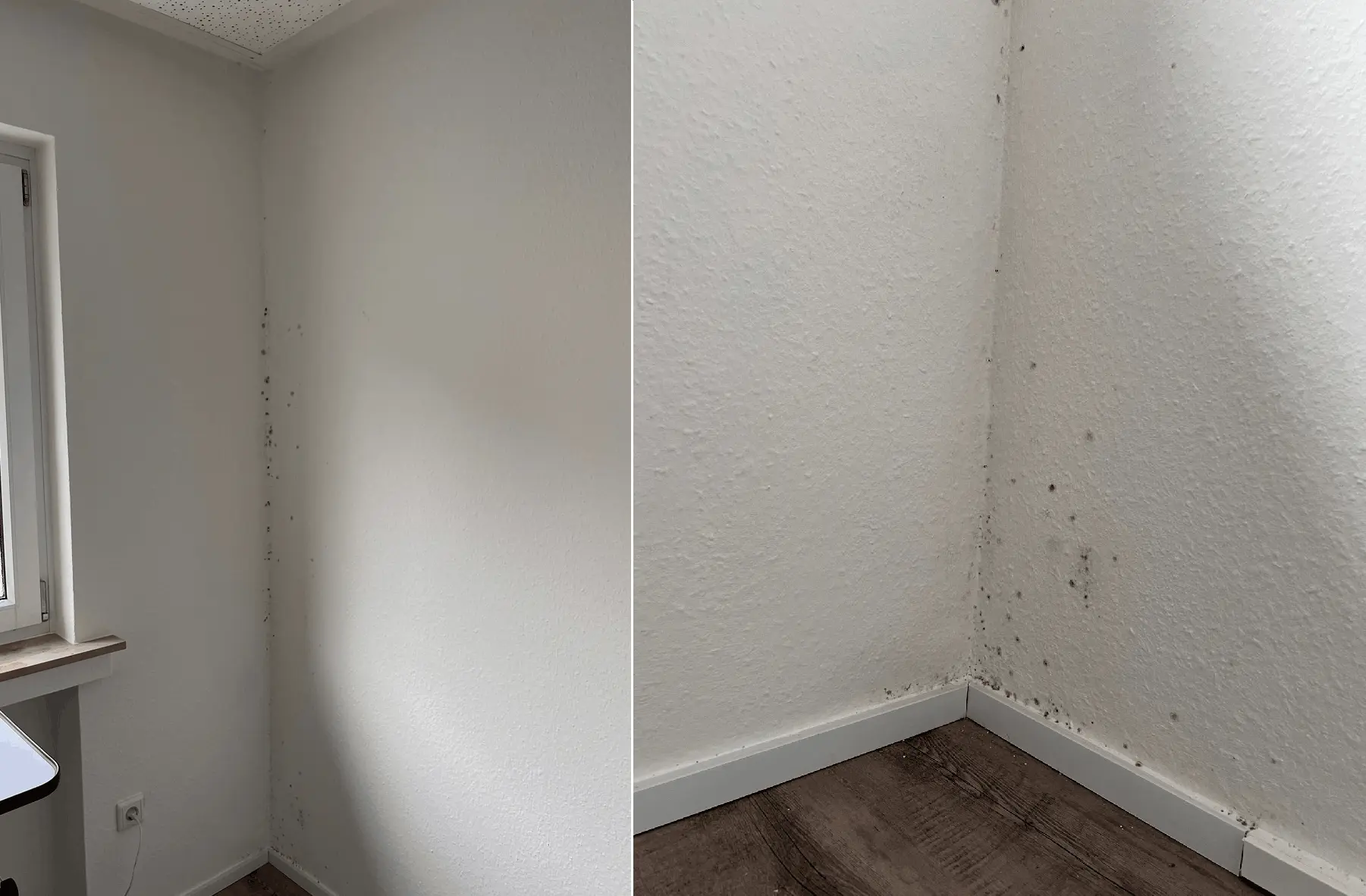 Frau erschrocken vor schimmeliger Raumecke mit physikalischen Formeln zu Taupunkt, U-Wert und Wärmebrücken an der Wand