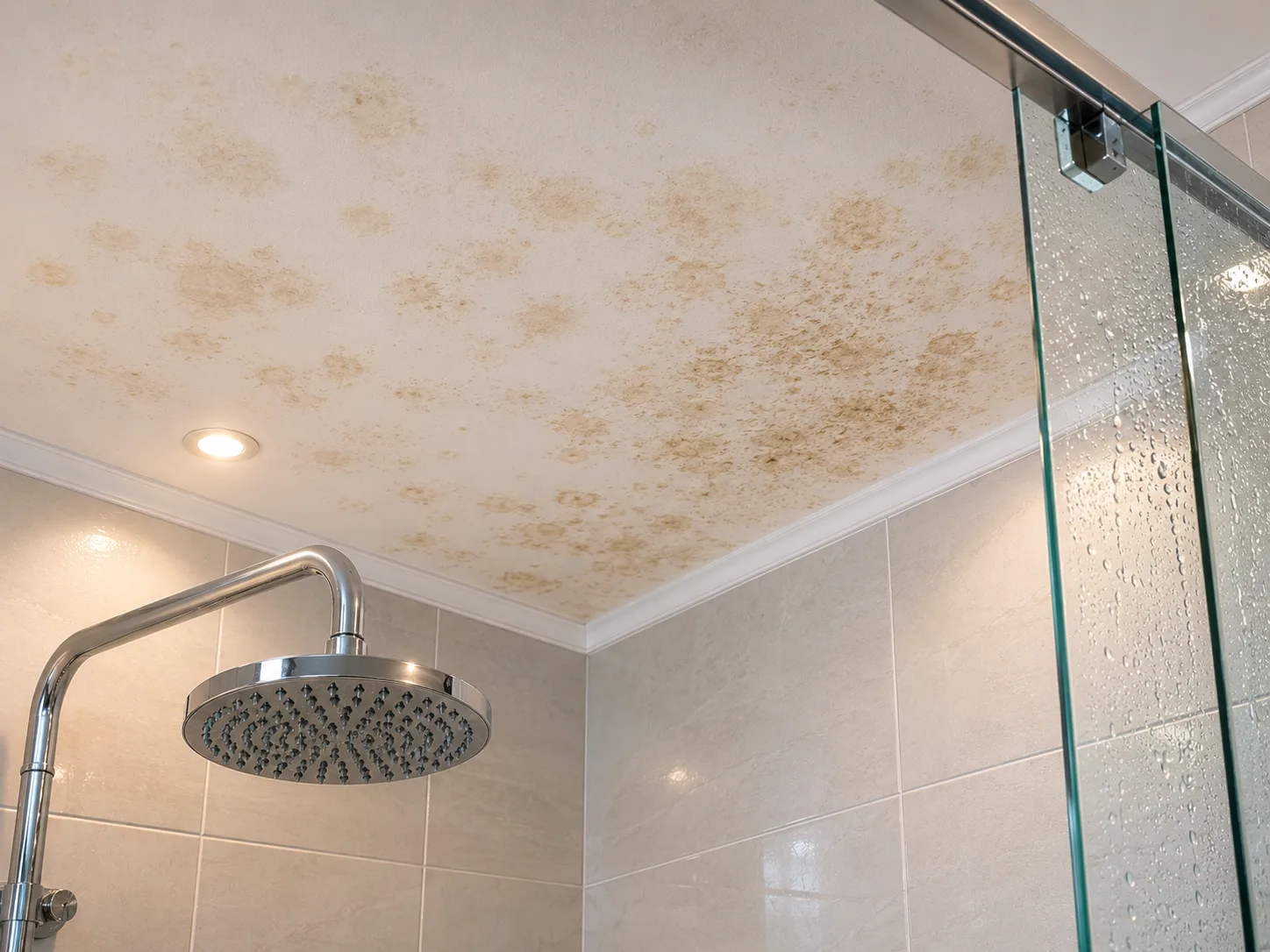 Stockflecken – oberflächlicher Schimmelbefall an Badezimmerdecke | Schimmelprotektor Stockflecken als braune, kreisförmige Flecken auf weißer Badezimmerdecke über Dusche