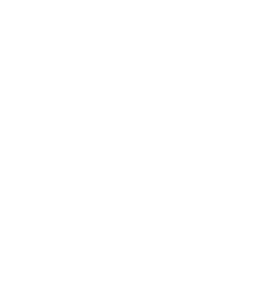 Logo VLI Luzerner Imker – Team Visual Referenz