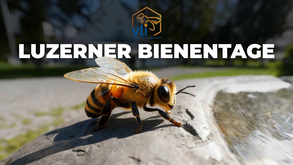 Eventfilm Luzerner Bienentage 2025 – Team Visual Sursee