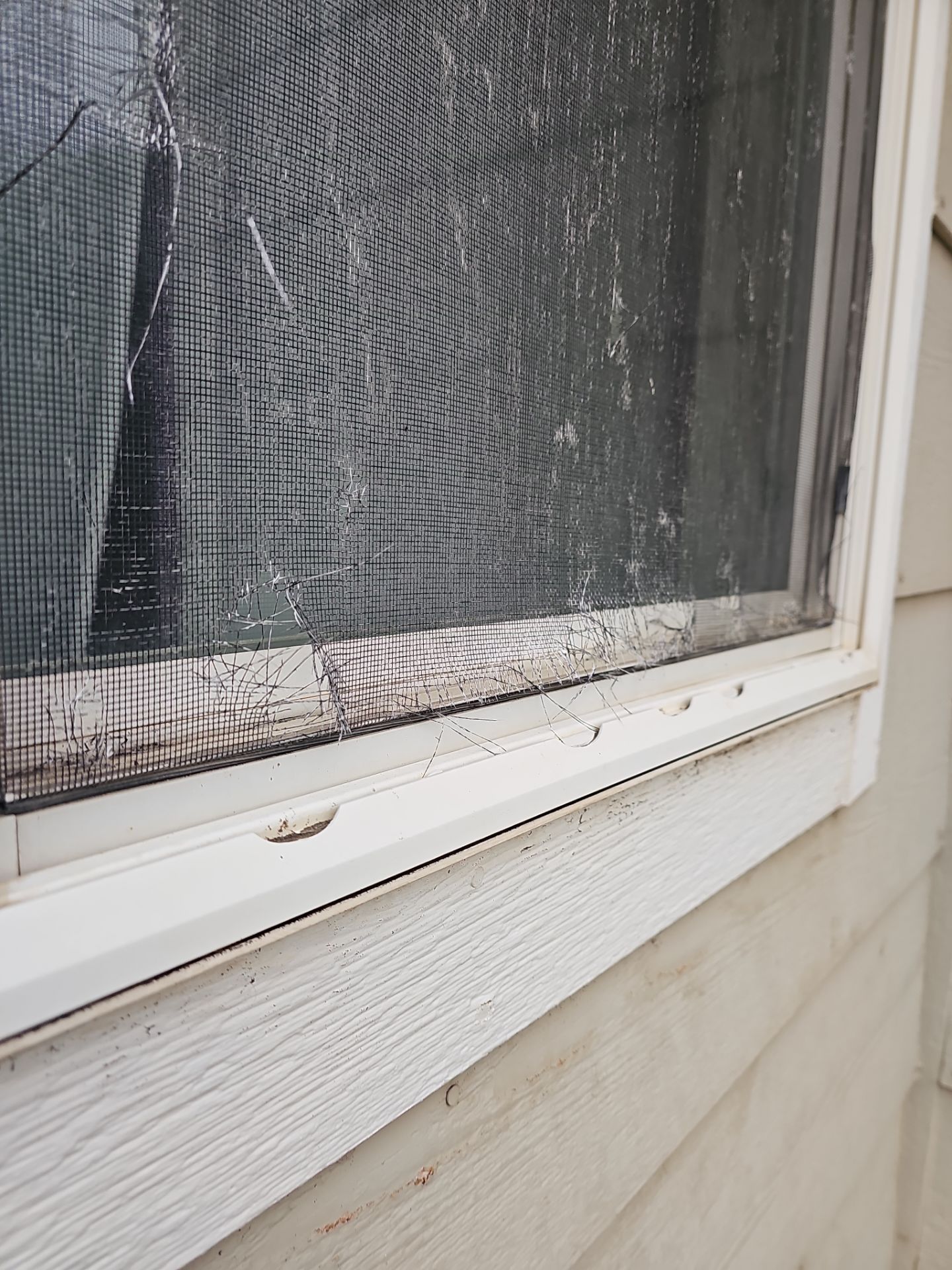 Torn shredded window screen and chipped frame from hail in Colorado Springs