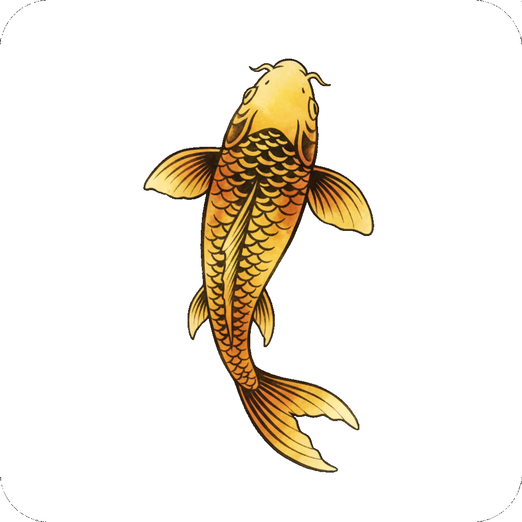 Koi
