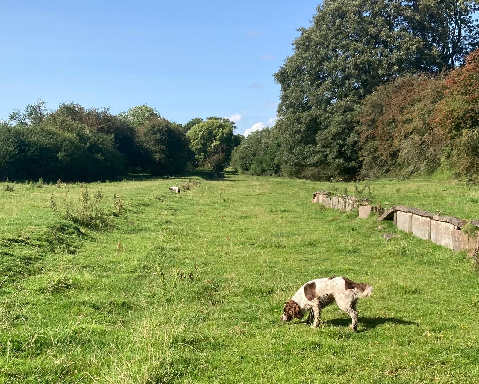 Bindy and Ted on the old railway line — the ruined platform at Aston Botterell where the Khordiafy vision was forged.
