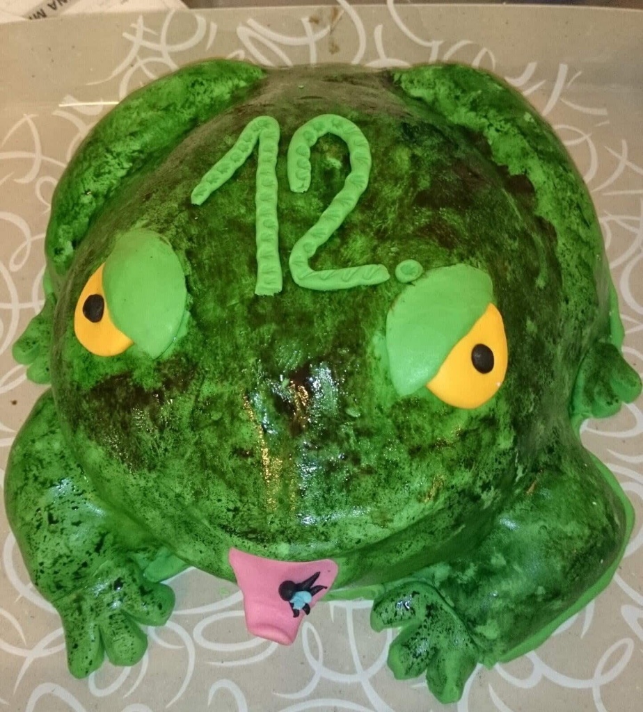 Dort 20