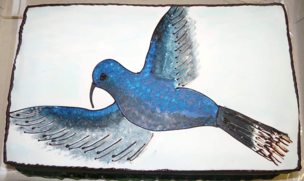 Dort 44